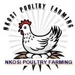 Nkosi Poultry